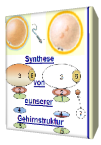 Synthese der menschlichen spirituellen Struktur
